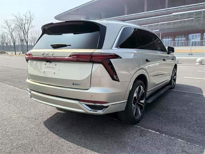 Фото 5 - Wey Lanshan