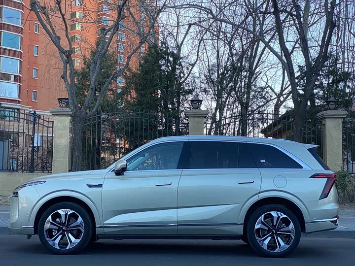 Фото 2 - Wey Lanshan