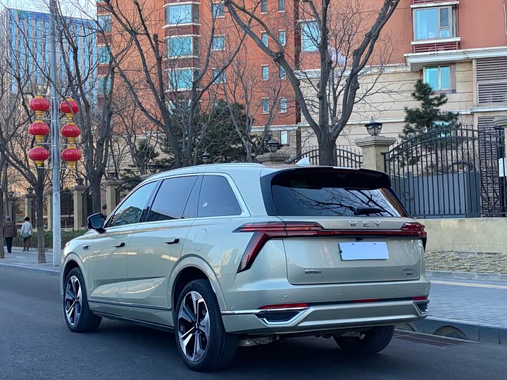 Фото 3 - Wey Lanshan