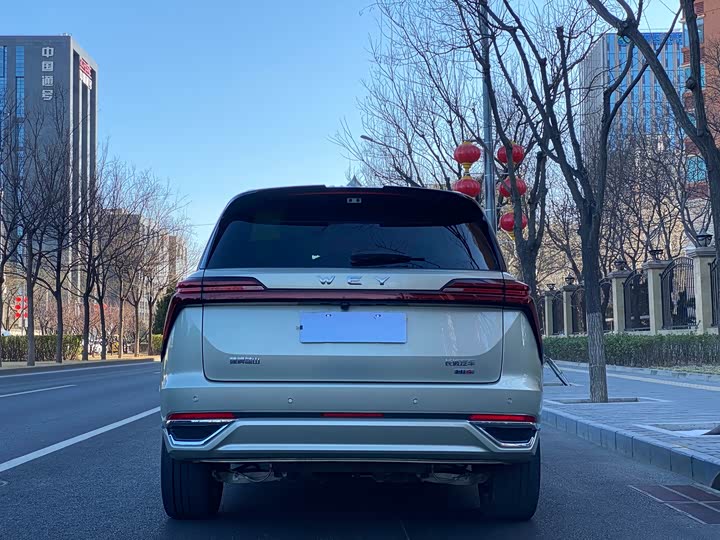 Фото 4 - Wey Lanshan