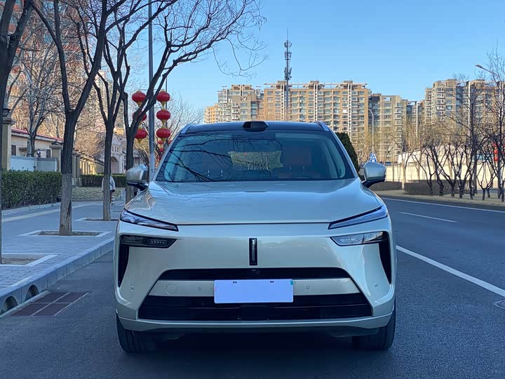 Фото 5 - Wey Lanshan