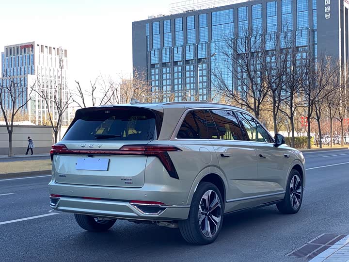 Фото 6 - Wey Lanshan