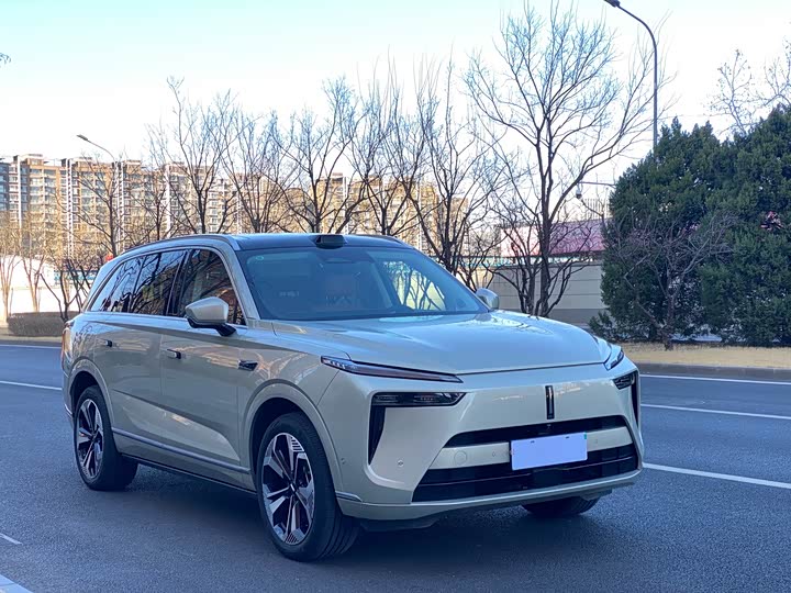 Фото 7 - Wey Lanshan