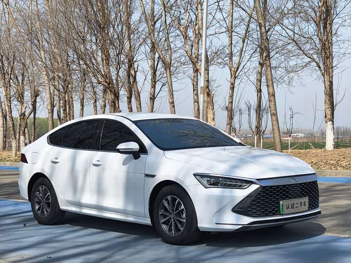 Фото 3 - BYD Qin Plus