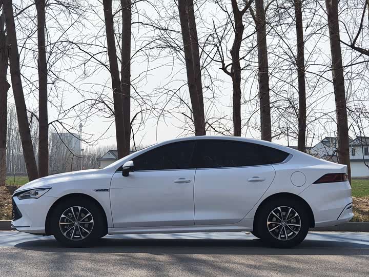 Фото 4 - BYD Qin Plus