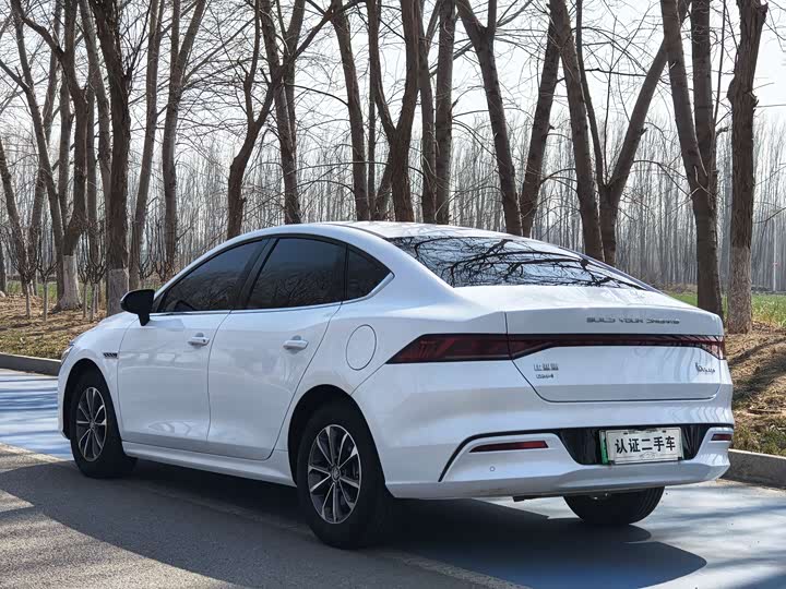 Фото 5 - BYD Qin Plus