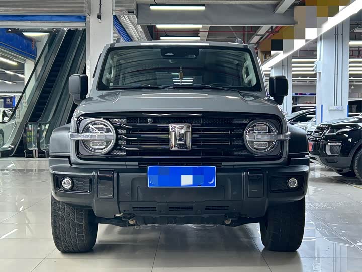 Фото 2 - Tank 300