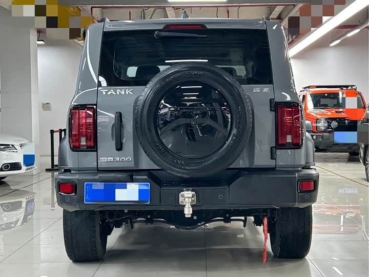 Фото 4 - Tank 300