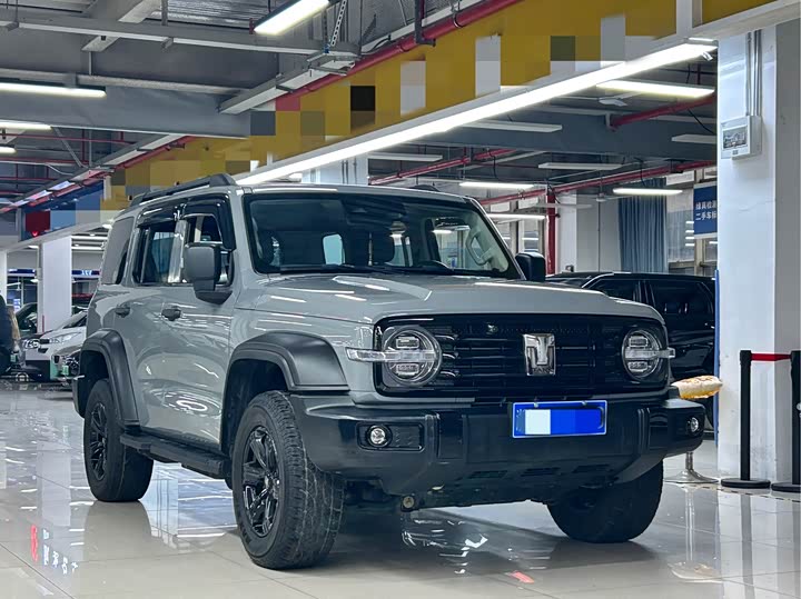 Фото 5 - Tank 300