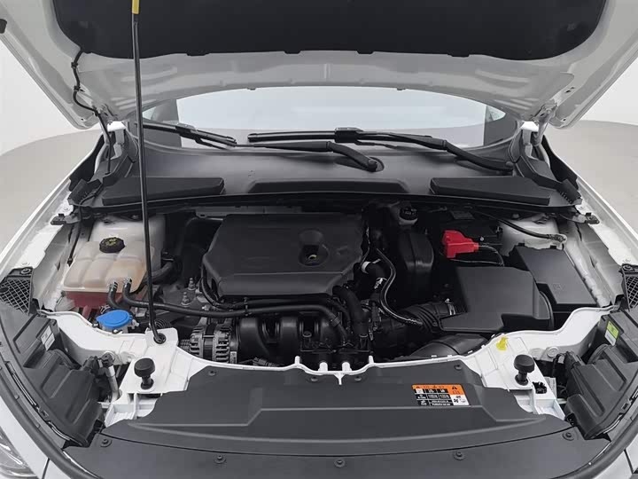 Фото 6 - Ford Escort