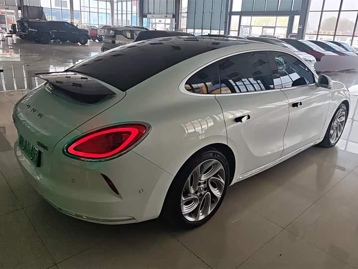 Фото 3 - Ora Lightning Cat (07)