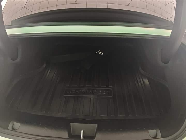 Фото 4 - Ora Lightning Cat (07)