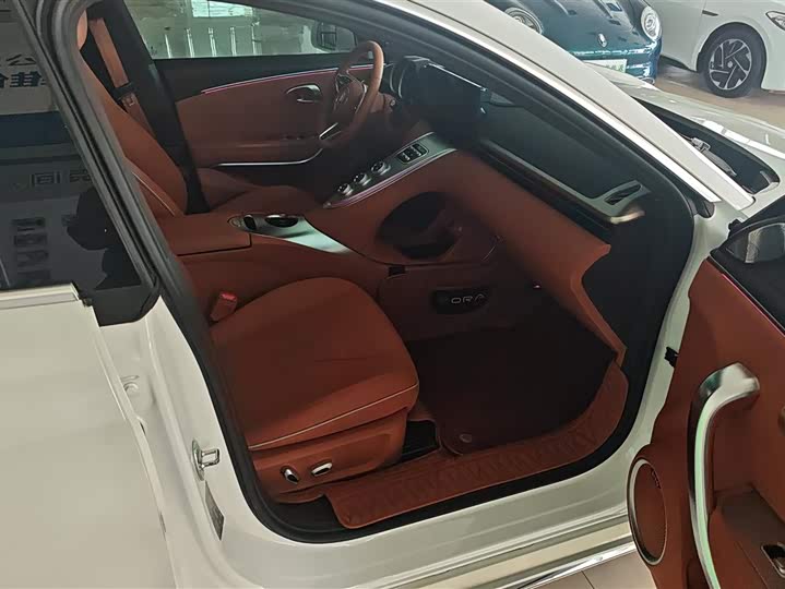 Фото 8 - Ora Lightning Cat (07)