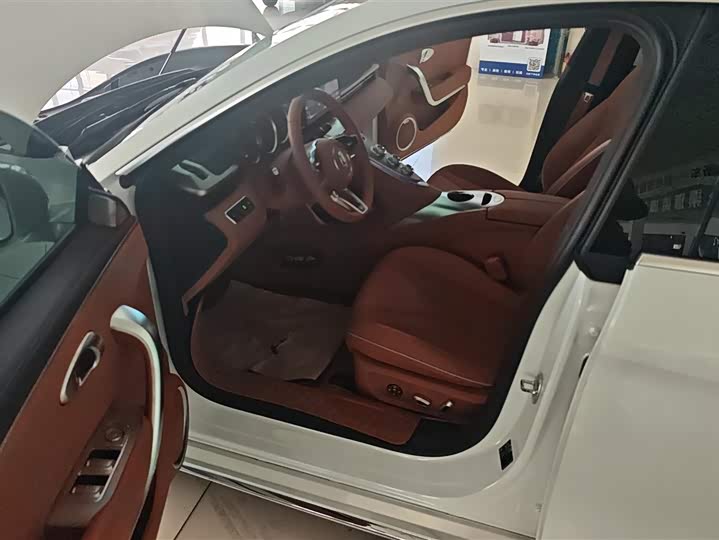 Фото 9 - Ora Lightning Cat (07)