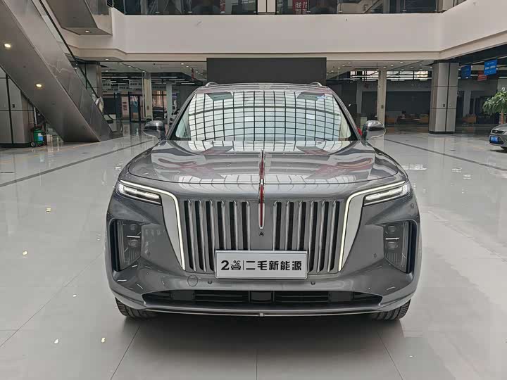 Фото 2 - Hongqi E-HS9