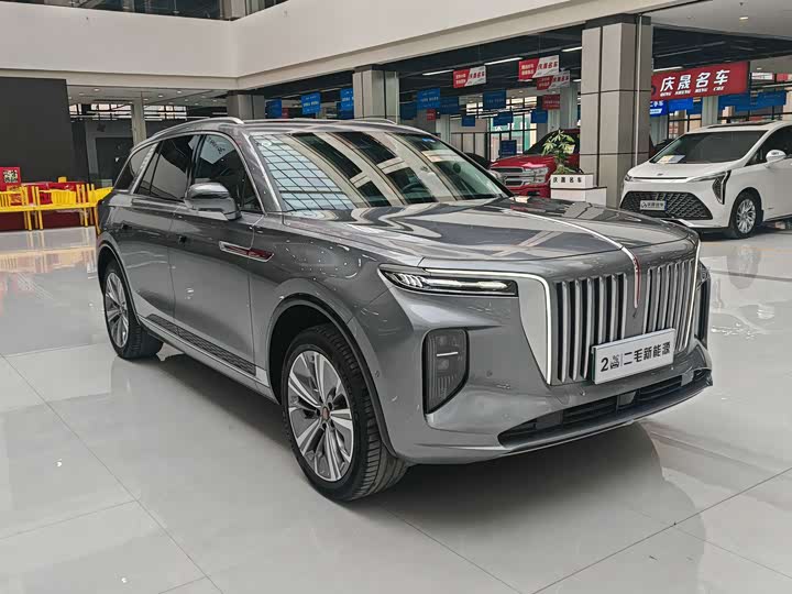 Фото 3 - Hongqi E-HS9