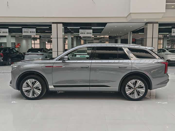 Фото 4 - Hongqi E-HS9