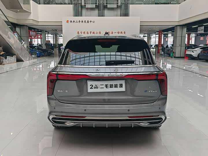 Фото 6 - Hongqi E-HS9