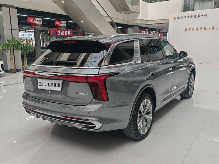 Фото 7 - Hongqi E-HS9