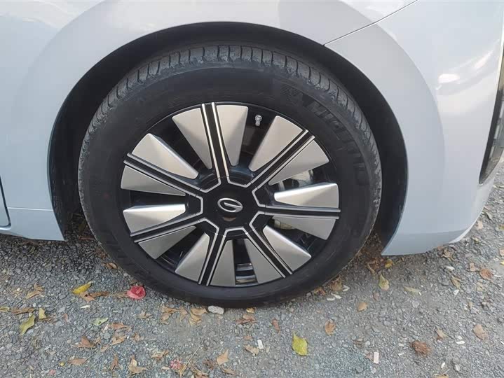 Фото 6 - GAC Trumpchi E8