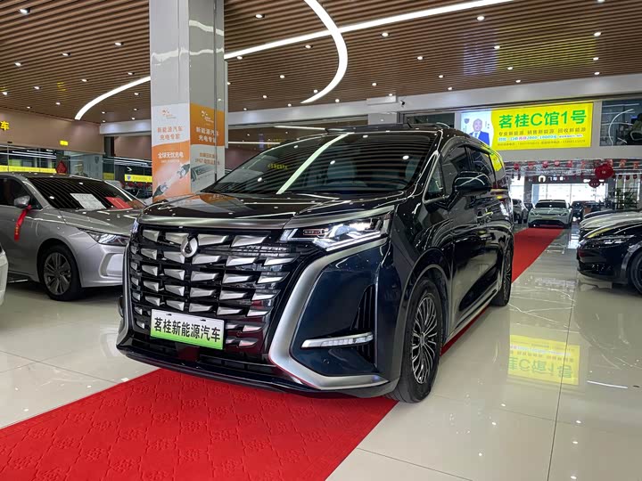 Фото 1 - Denza D9