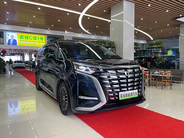 Фото 3 - Denza D9