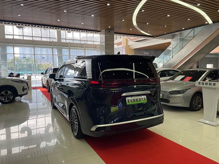 Фото 4 - Denza D9