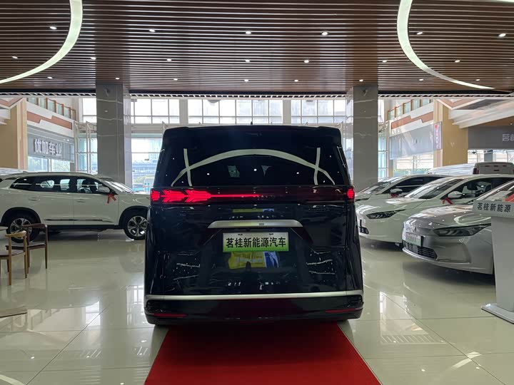 Фото 5 - Denza D9