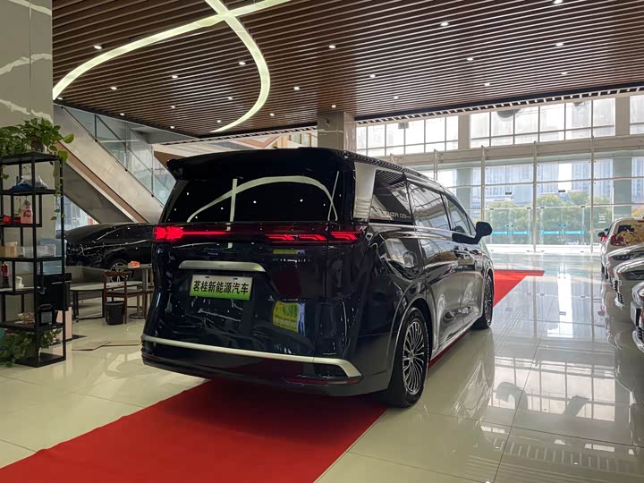 Фото 6 - Denza D9