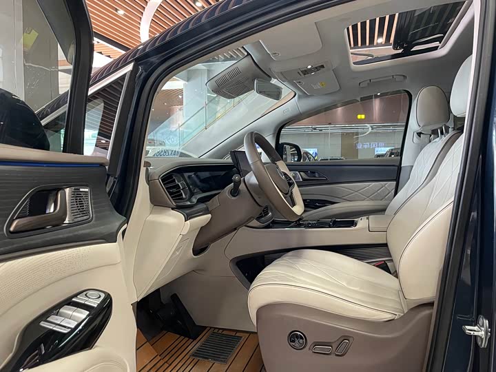 Фото 8 - Denza D9