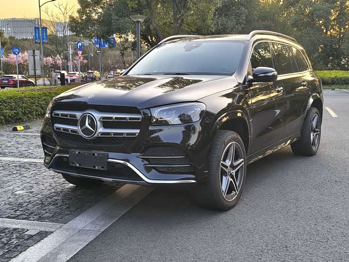 Mercedes-Benz GLS-Class 2023 2023款 GLS 450 4MATIC 时尚型