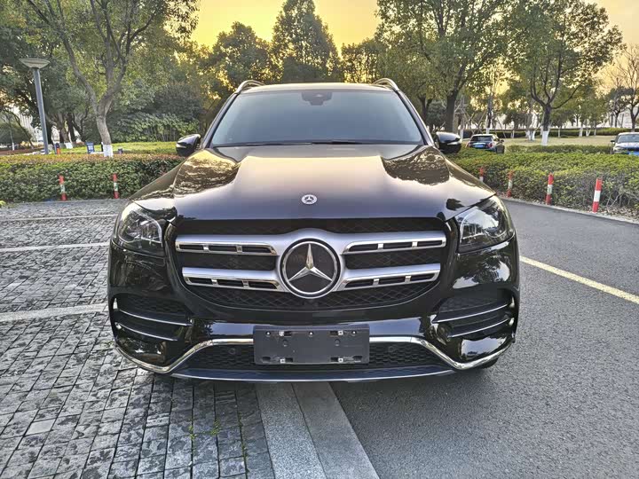 Mercedes-Benz GLS-Class 2023 2023款 GLS 450 4MATIC 时尚型