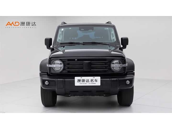 Фото 2 - Tank 300