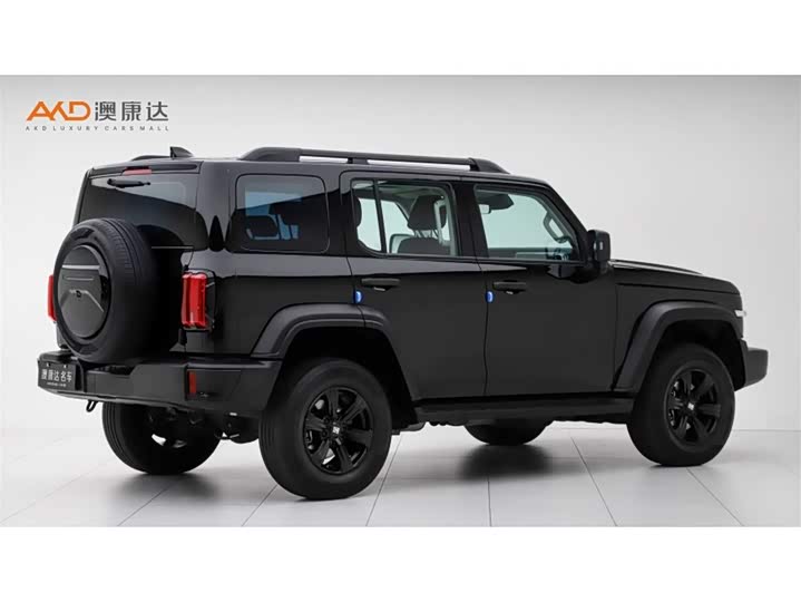 Фото 3 - Tank 300