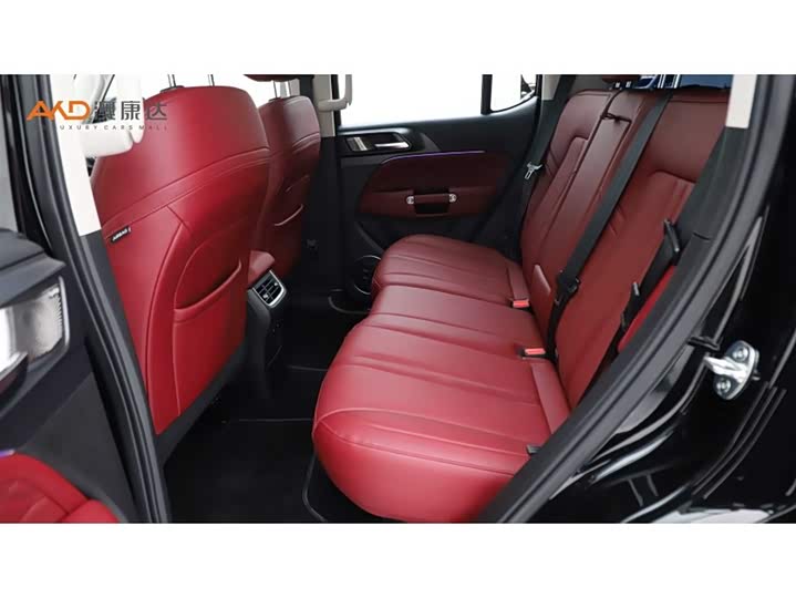 Фото 7 - Tank 300