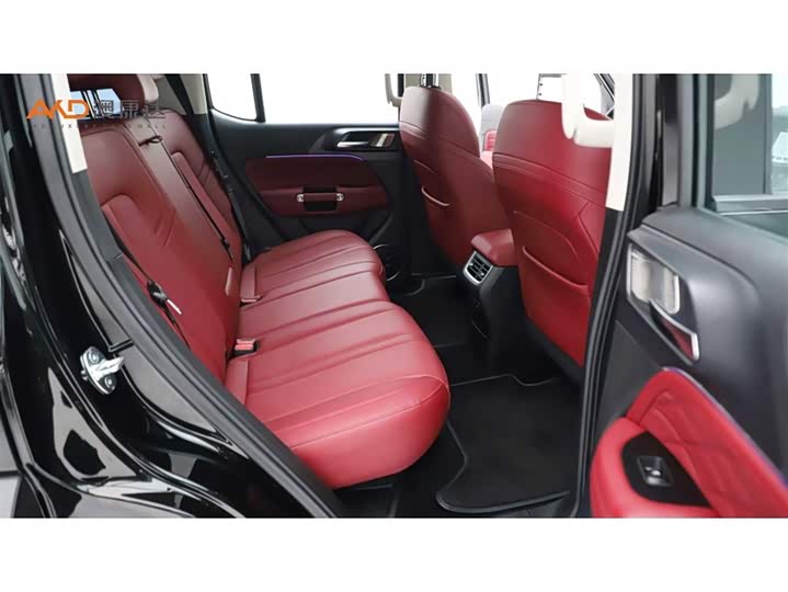 Фото 8 - Tank 300