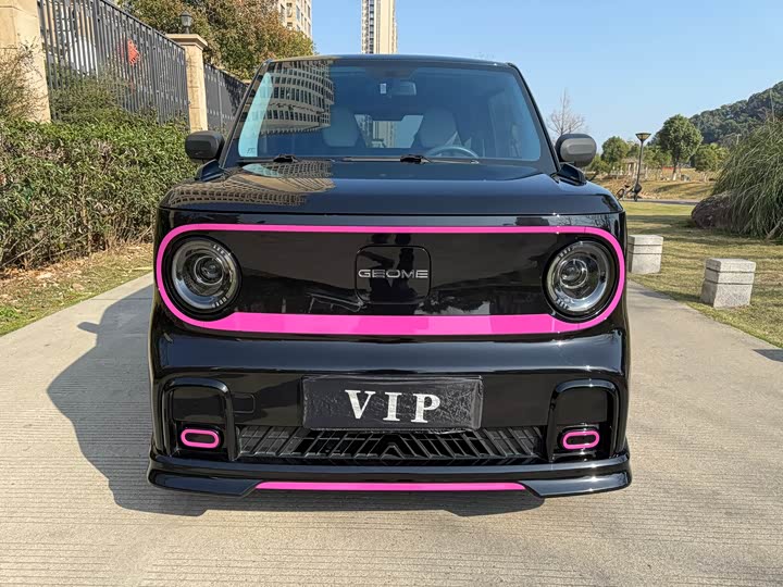 Фото 1 - Geely Galaxy Panda Mini