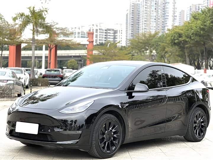 Фото 1 - Tesla Model Y