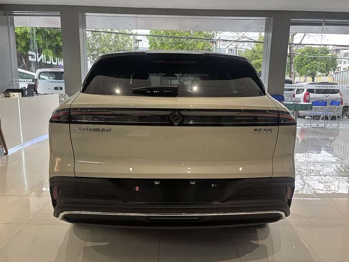 Фото 8 - Baojun E6