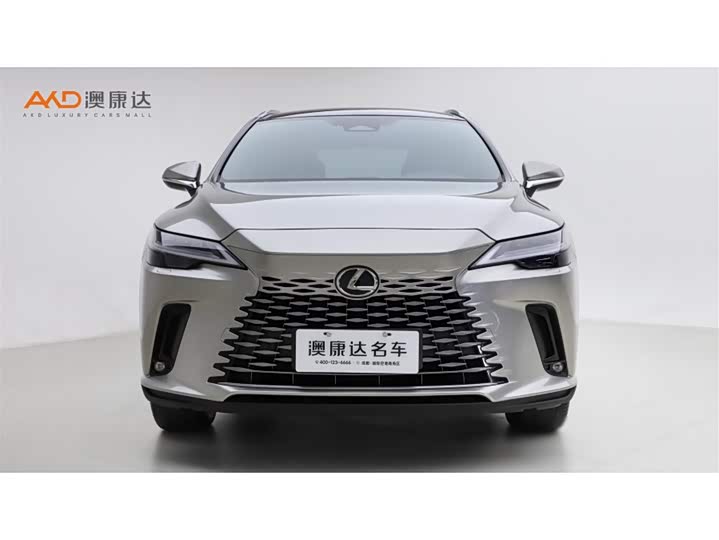 Фото 2 - Lexus RX