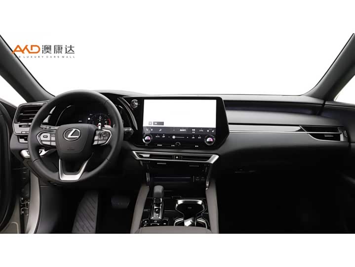 Фото 5 - Lexus RX