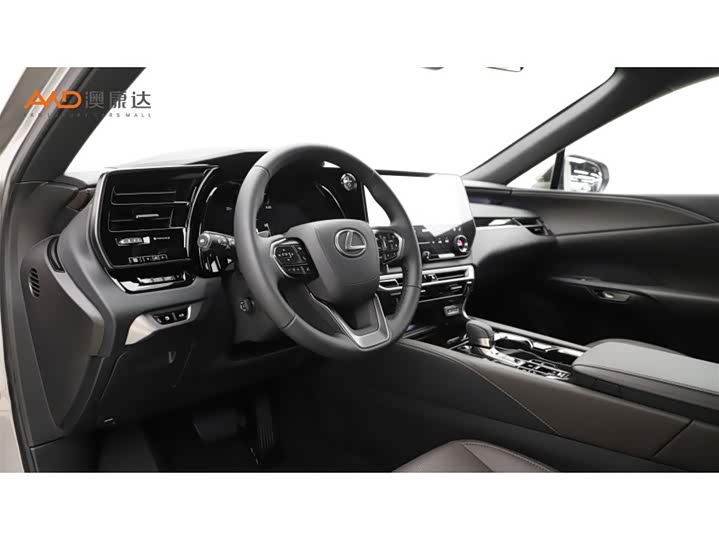 Фото 6 - Lexus RX