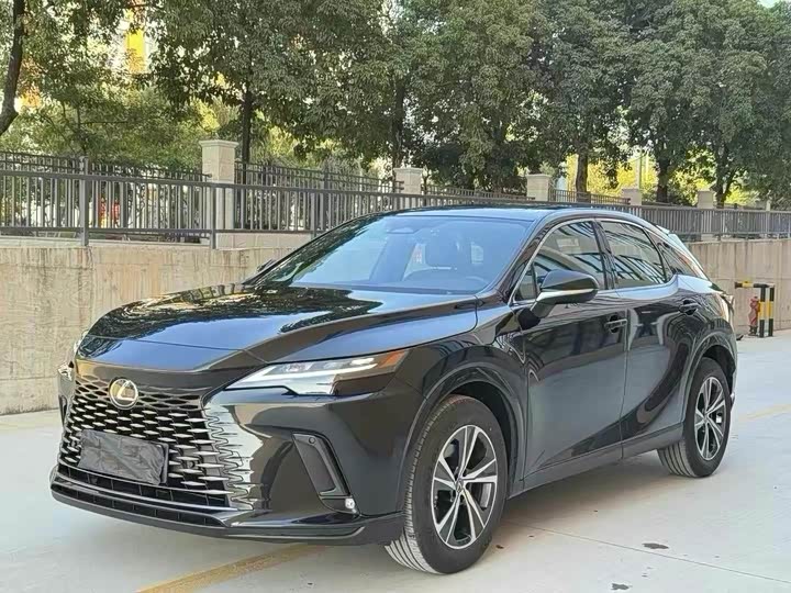 Фото 1 - Lexus RX