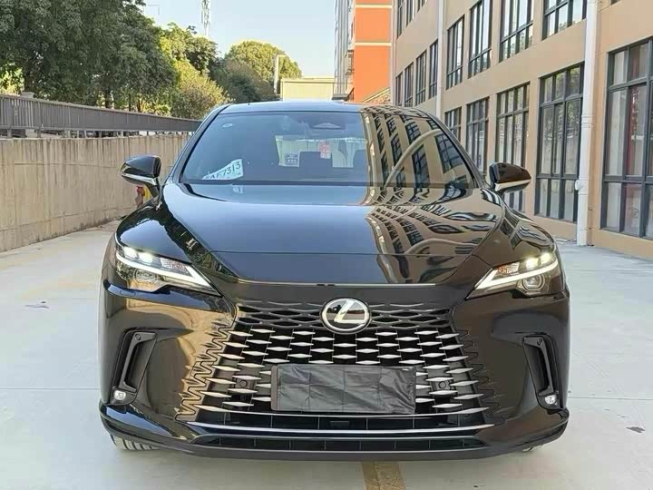 Фото 2 - Lexus RX