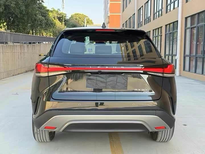 Фото 5 - Lexus RX