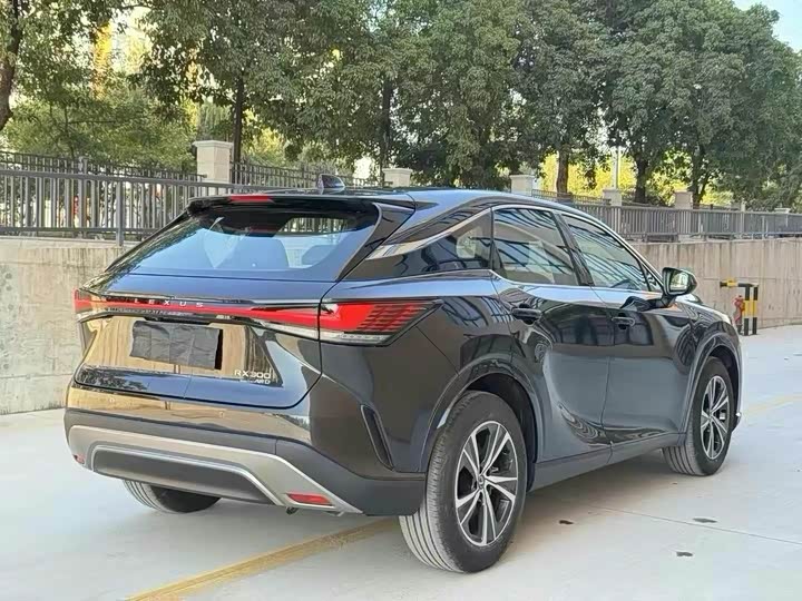 Фото 6 - Lexus RX