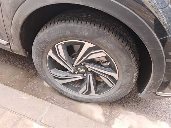 Фото 6 - Hongqi HS5