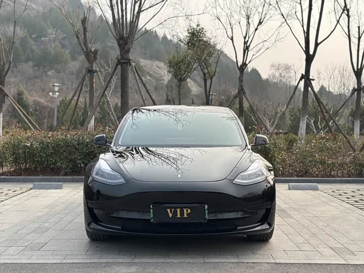 Фото 2 - Tesla Model 3