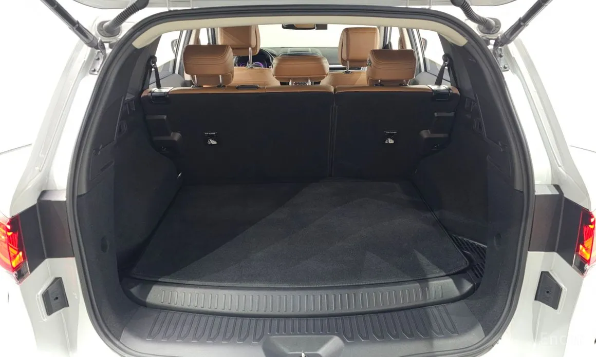 Фото 20 - Renault QM6