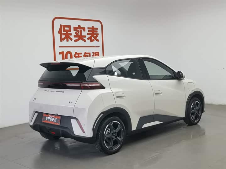 Фото 2 - BYD Seagull